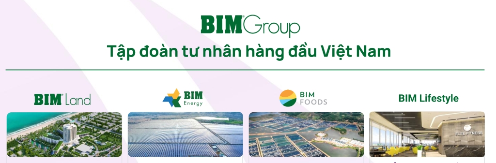 Bim Group